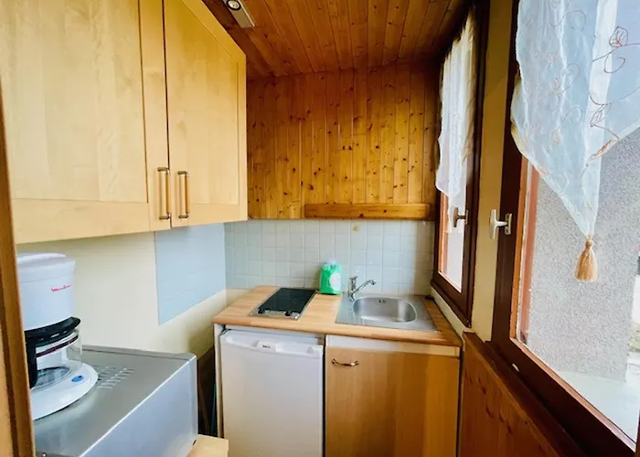 Apartment 2 Pers. Proche Remontees, Sans Balcon - Fr-1-516-39 Les Deux Alpes